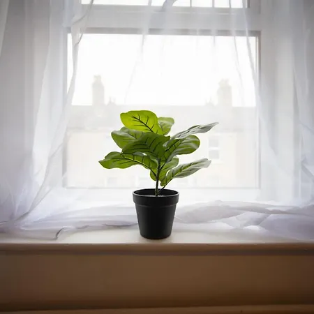 Open House * Carlisle (Cumbria)